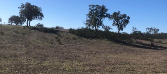 Terreno en Santiago do Cacem, Portugal 140300 m² No. 50843 2