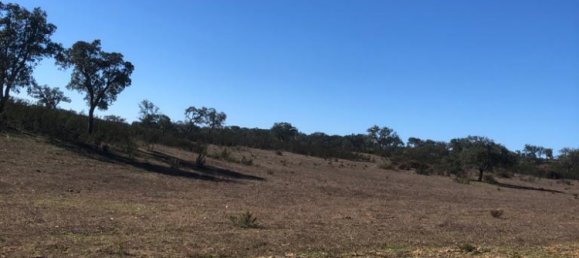 Terreno en Santiago do Cacem, Portugal 140300 m² No. 50843 22