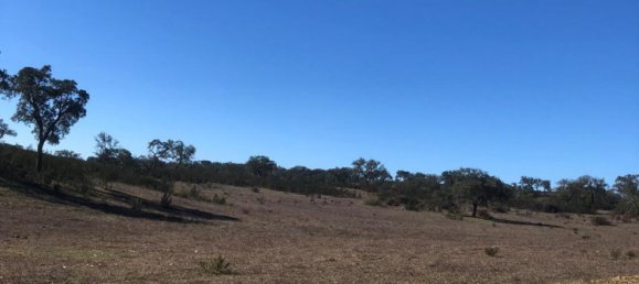 Terreno en Santiago do Cacem, Portugal 140300 m² No. 50843 6