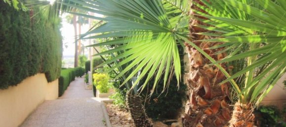 3 Schlafzimmer Wohnung in Torrevieja, Spain, Nr. 135838 34