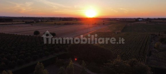 4 Schlafzimmer Haus in Alessandria, Italy, Nr. 269067 18