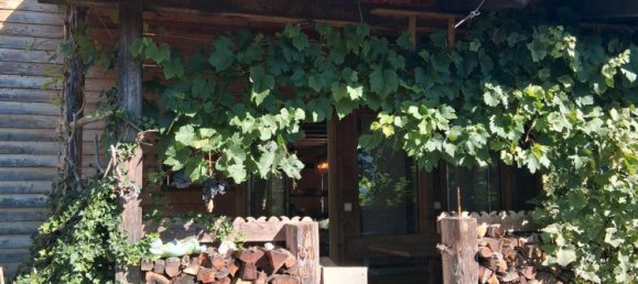 3 chambres Maison à Cham, Germany No. 295029 6