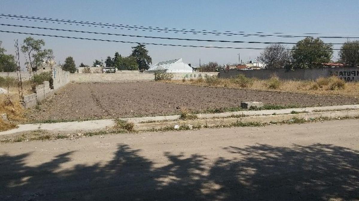  قطعة أرض في Mexico رقم 203933