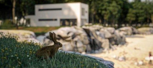 Terreno de 5 habitaciónes en Mainz-Bingen, Germany No. 290916 3