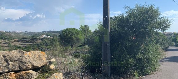 5727m² Land in Ericeira, Portugal No. 89698 15