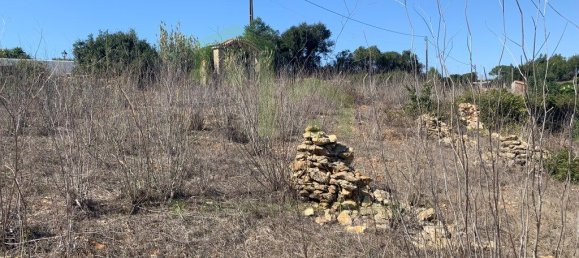 5727m² Land in Ericeira, Portugal No. 89698 14