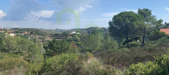 5727m² Land in Ericeira, Portugal No. 89698 2