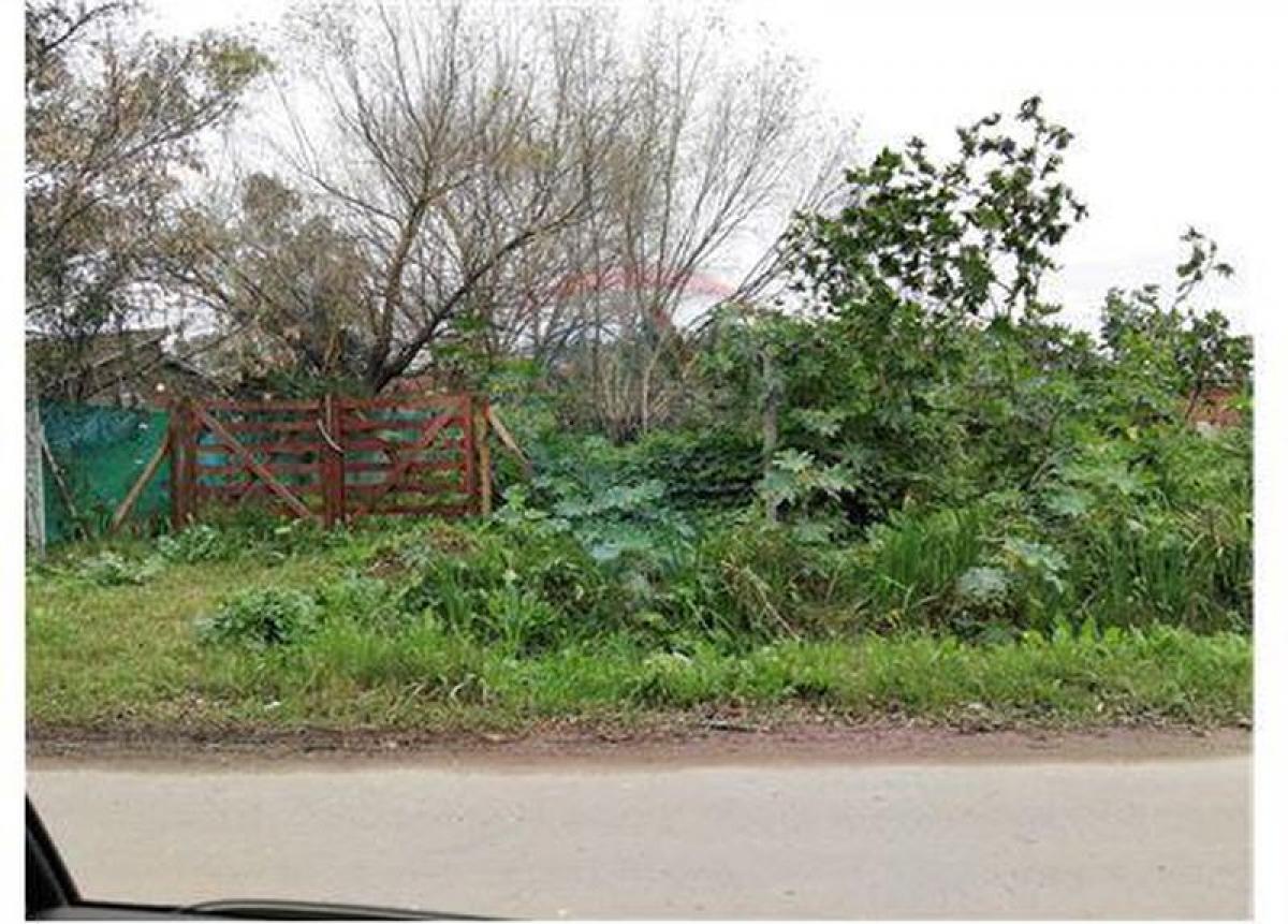  قطعة أرض في Tigre, Argentina رقم 46016