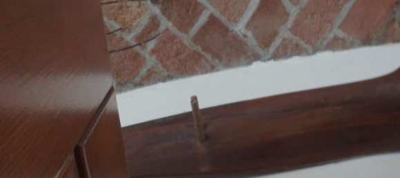 2 rooms Apartment in Colorno, Italy No. 230529 8