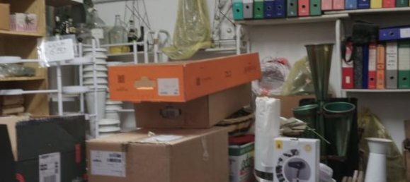 2 rooms Apartment in Colorno, Italy No. 230529 33