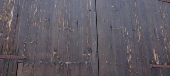 2 rooms Apartment in Colorno, Italy No. 230529 3