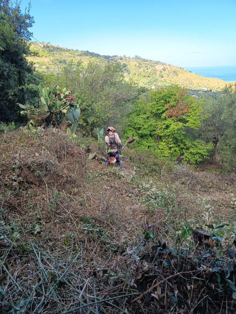  قطعة أرض في Cefalù, Italy رقم 374375