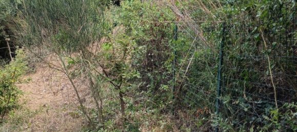 قطعة أرض في Cefalù, Italy رقم 374375 2