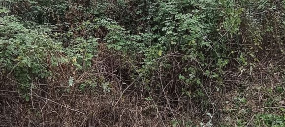 قطعة أرض في Cefalù, Italy رقم 374375 3