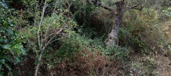 قطعة أرض في Cefalù, Italy رقم 374375 4