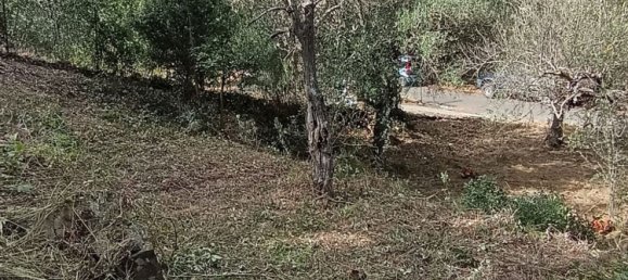 قطعة أرض في Cefalù, Italy رقم 374375 7