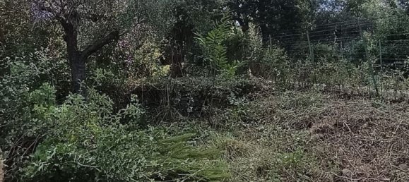 قطعة أرض في Cefalù, Italy رقم 374375 8