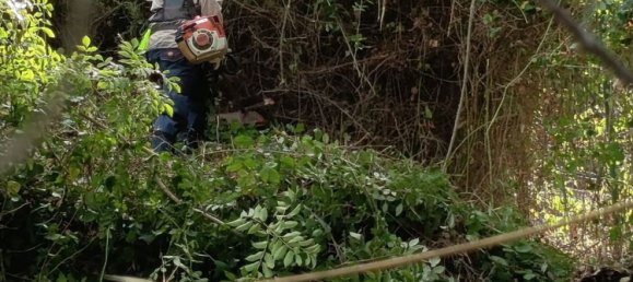 قطعة أرض في Cefalù, Italy رقم 374375 5