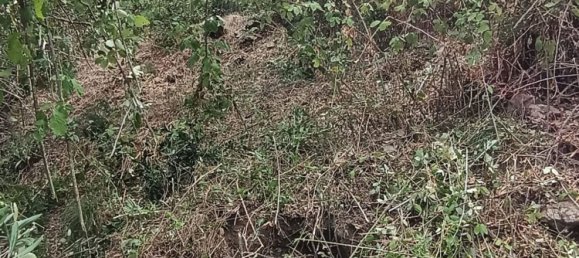 قطعة أرض في Cefalù, Italy رقم 374375 6