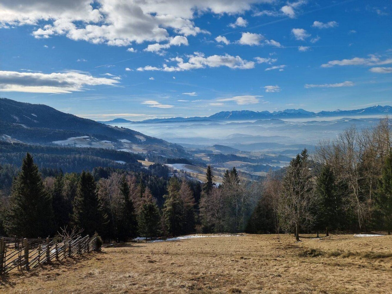 5غرفة قطعة أرض في Wolfsberg, Austria رقم 193126