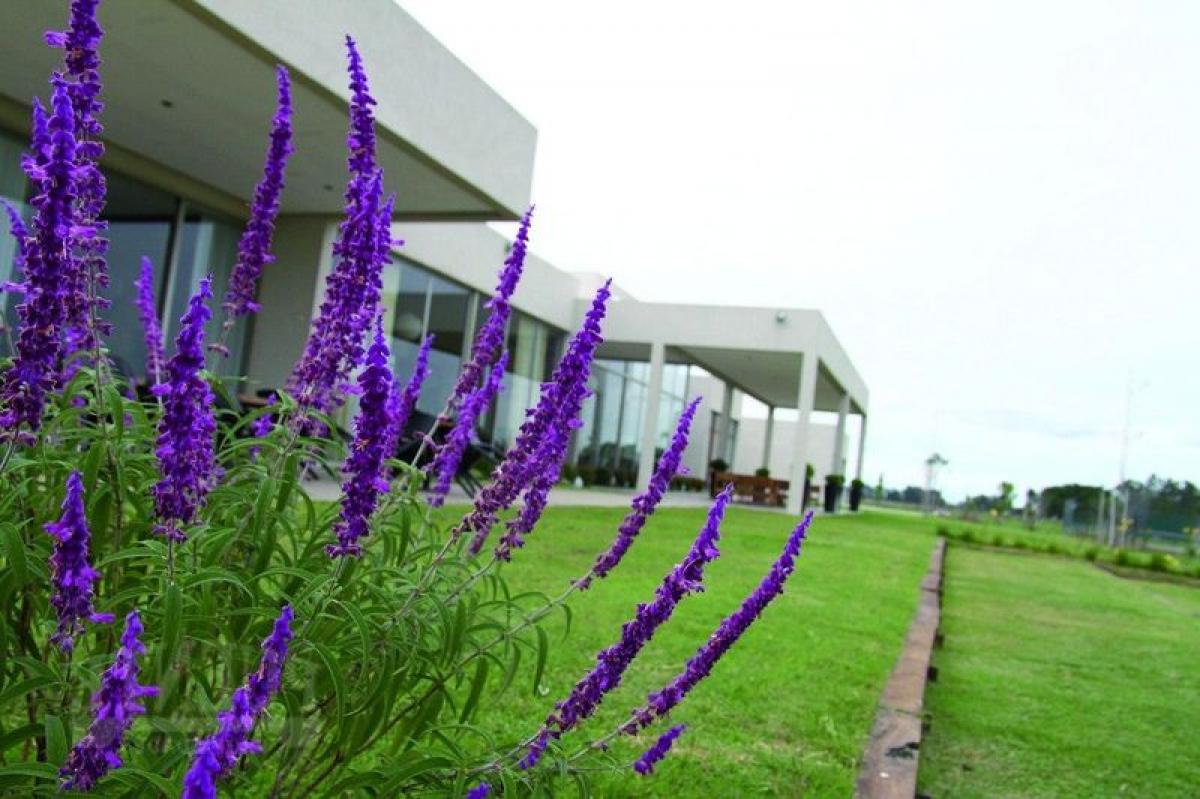  Land in Ezeiza, Argentina No. 45965