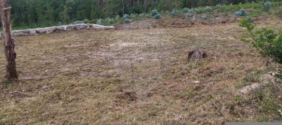  قطعة أرض في Mortagua, Portugal 978متر مربع رقم 44175 2