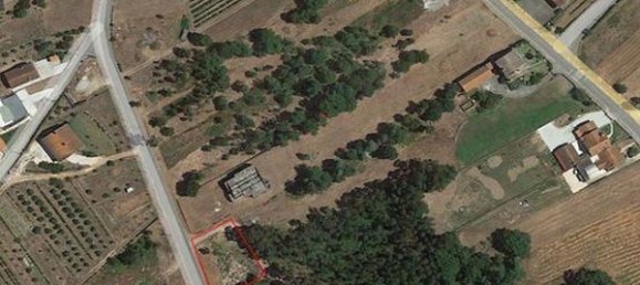  قطعة أرض في Mortagua, Portugal 978متر مربع رقم 44175 5