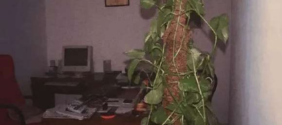 12-Zimmer Villa in San Donaci, Italy, Nr. 185727 4