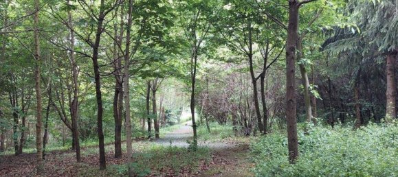 5-Zimmer Haus in Eltendorf, Austria, Nr. 170157 33