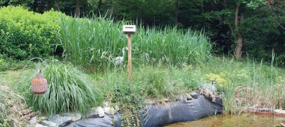 5-Zimmer Haus in Eltendorf, Austria, Nr. 170157 37