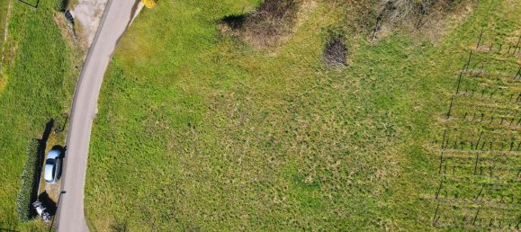 Terreno en Ortenaukreis, Germany No. 90026 5