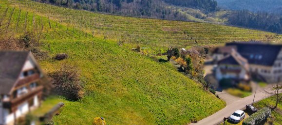 Terreno en Ortenaukreis, Germany No. 90026 4