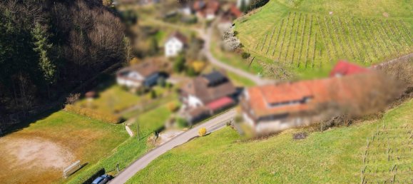 Terreno en Ortenaukreis, Germany No. 90026 2