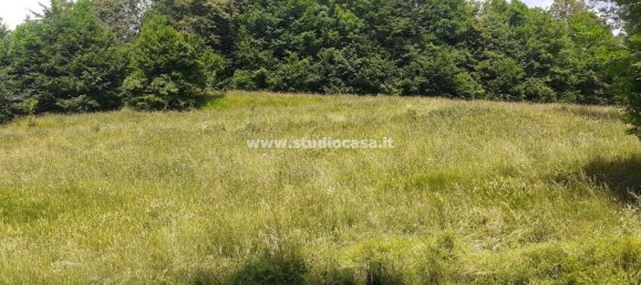 2 rooms House in Vedeseta, Italy No. 90821 5