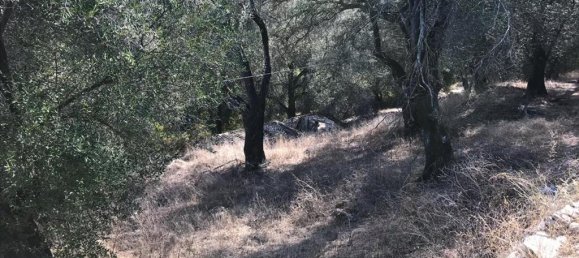 4000m² Hotel in Corfu, Greece No. 5421 22