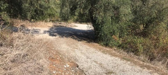 4000m² Hotel in Corfu, Greece No. 5421 8