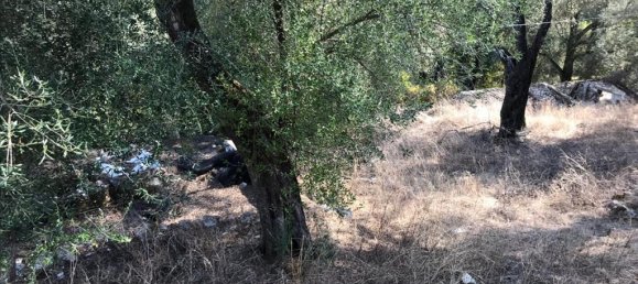 4000m² Hotel in Corfu, Greece No. 5421 23