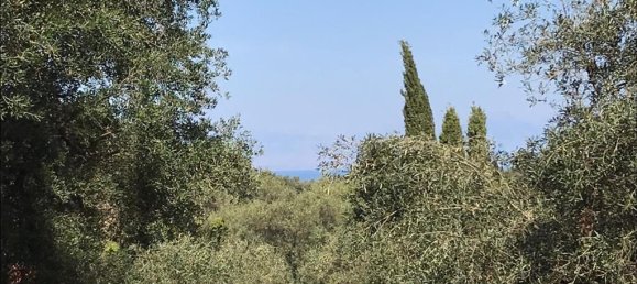 4000m² Hotel in Corfu, Greece No. 5421 14