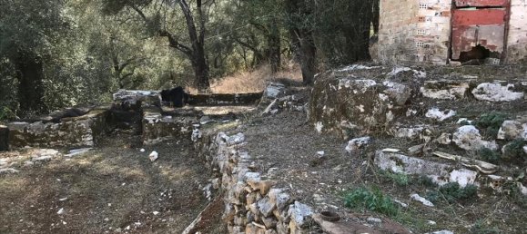 4000m² Hotel in Corfu, Greece No. 5421 24