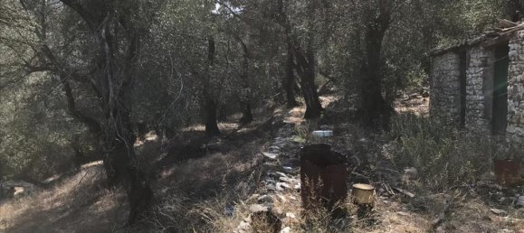 4000m² Hotel in Corfu, Greece No. 5421 21