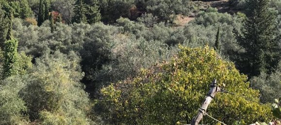 4000m² Hotel in Corfu, Greece No. 5421 16