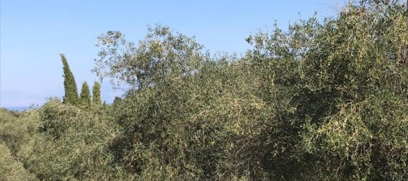 4000m² Hotel in Corfu, Greece No. 5421 15