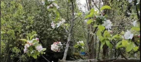 Studio in Murialdo, Italy, Nr. 88510 2