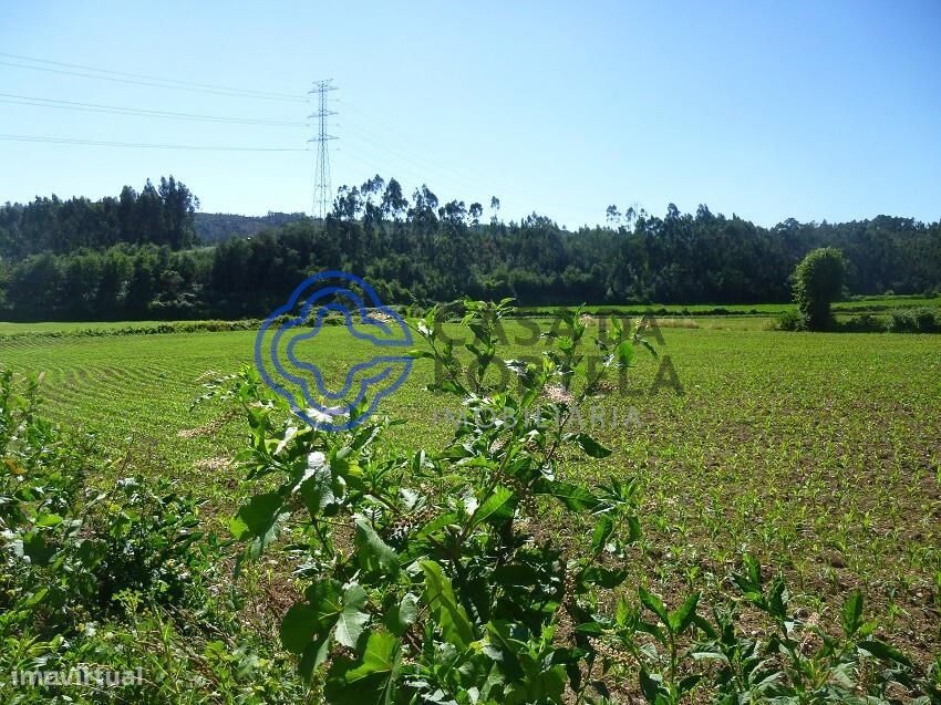 8030m² Land in Valongo, Portugal No. 56691