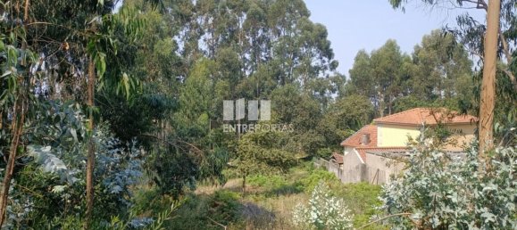 1300m² Land in Viana do Castelo, Portugal No. 243593 18