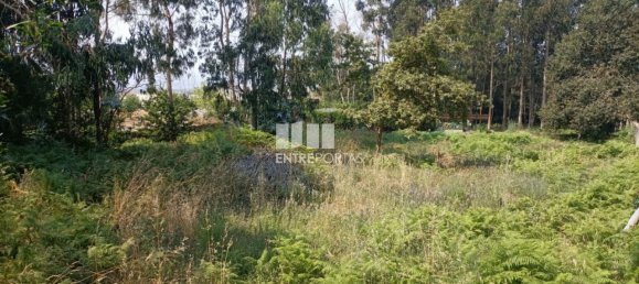 1300m² Land in Viana do Castelo, Portugal No. 243593 14