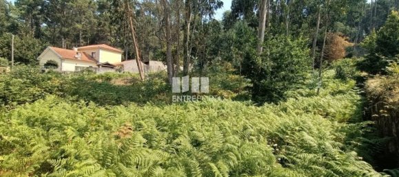 1300m² Land in Viana do Castelo, Portugal No. 243593 12