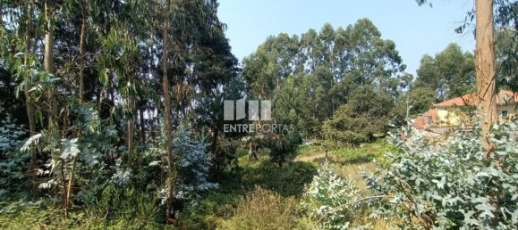 1300m² Land in Viana do Castelo, Portugal No. 243593 3