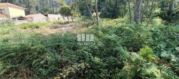 1300m² Land in Viana do Castelo, Portugal No. 243593 2