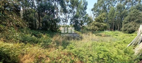 1300m² Land in Viana do Castelo, Portugal No. 243593 17